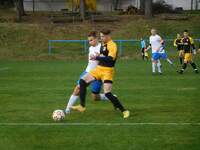 FCS - FCM3